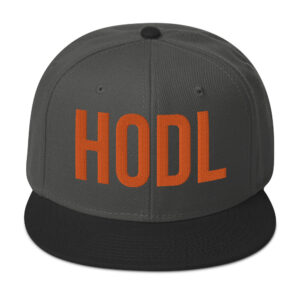 HOLD Embroidered BTC Themed Snapback Hat